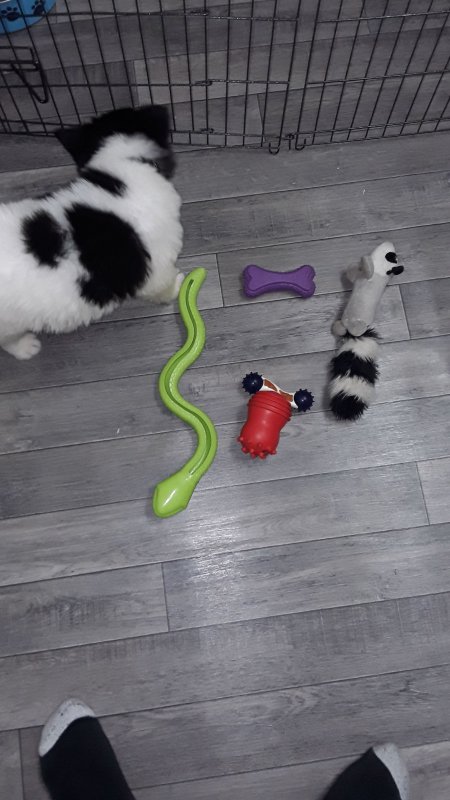 IMG-20180908-WA0004.jpeg