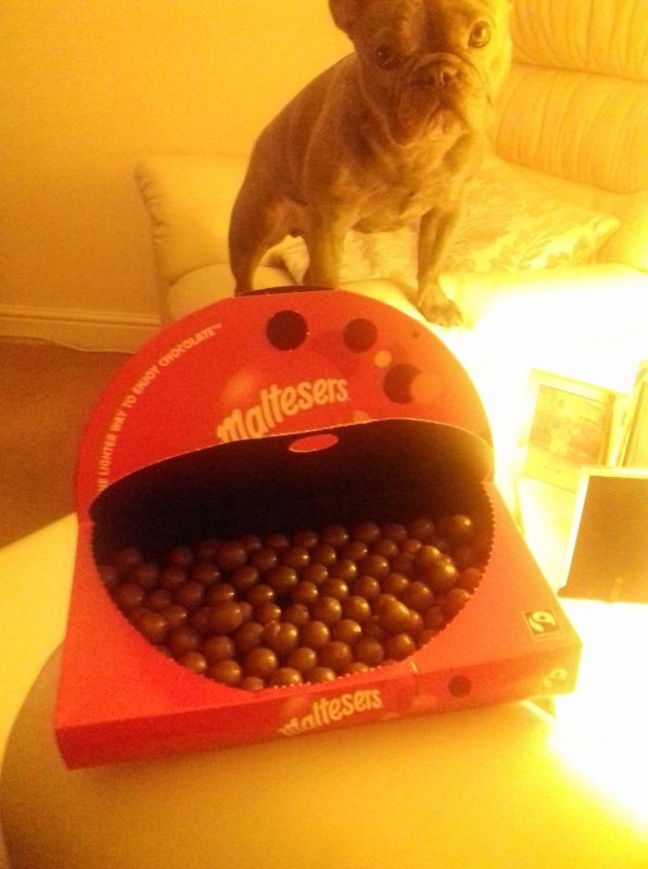 IMG-20190228-WA0002.jpeg