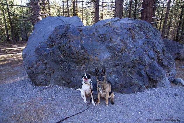 Lassen Tourists.jpg