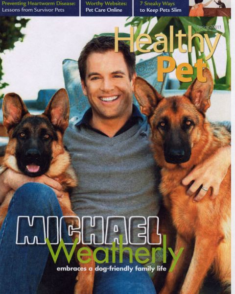 Michael-Weatherly-and-his-two-German-Sheperds-ncis-19337496-600-750.jpg