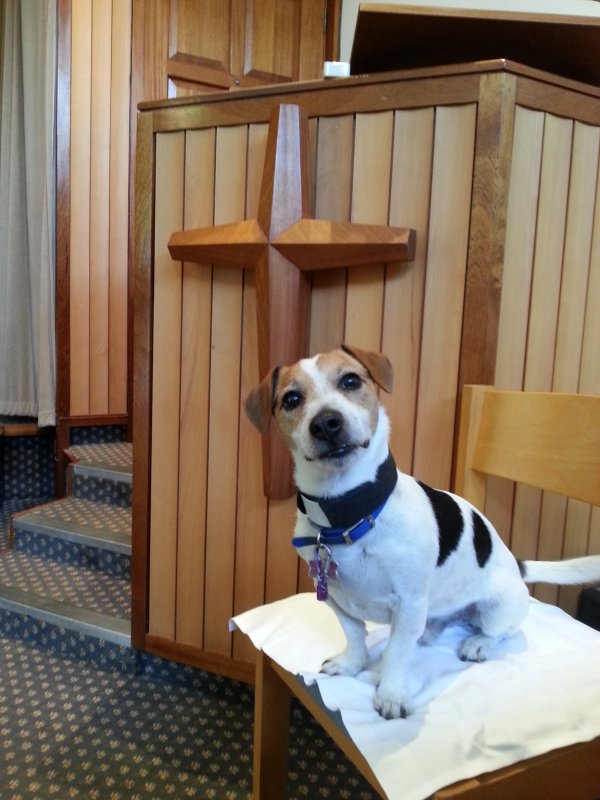 Mr Piddles Dutifully awaits a service in the family chapel.jpg
