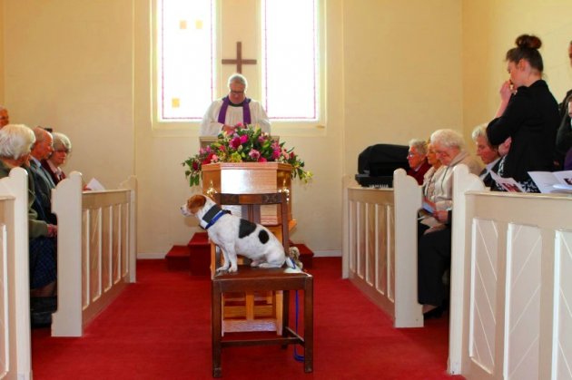 Mr Piddles Funeral Celebration.jpg