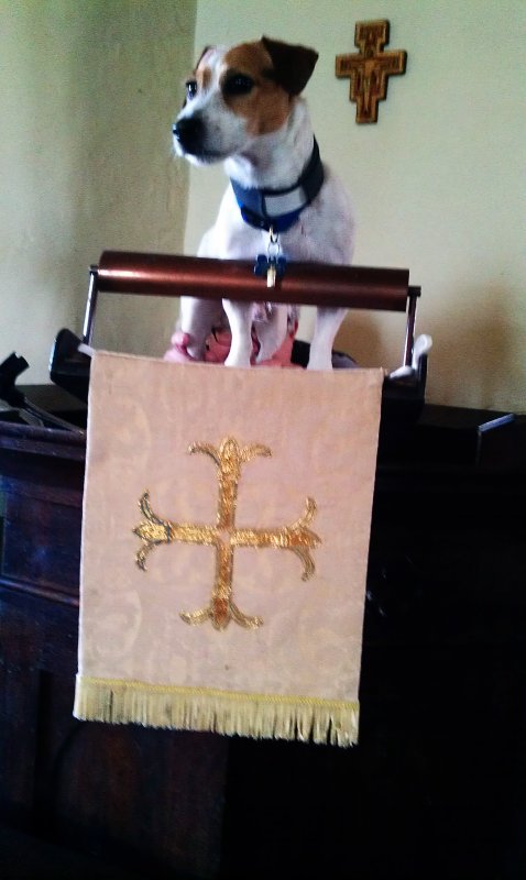 Mr Piddles.Preaching.jpg