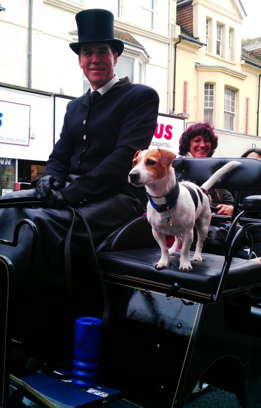 Mr Piddles Raising Funds For Children.jpg