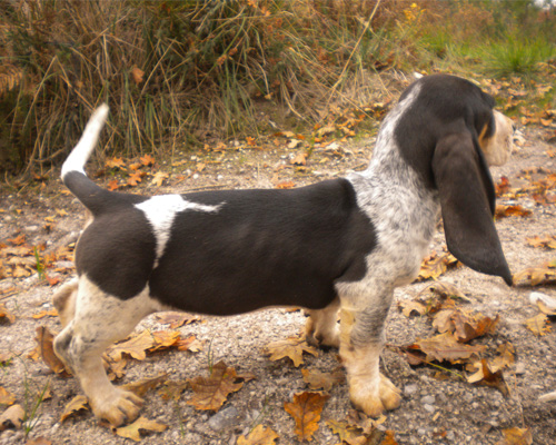 NANOU 23 11 14 IV copie.jpg