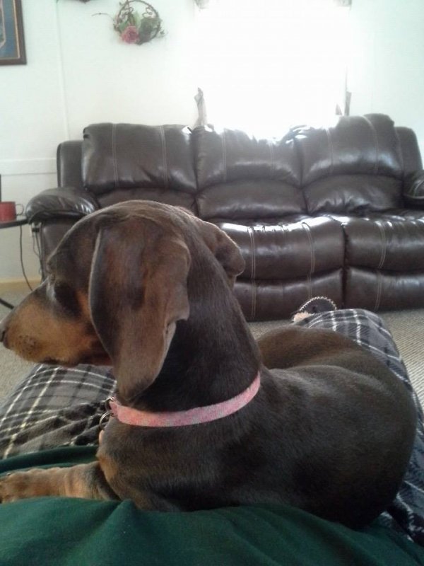 profile of brena at 6 months.jpg