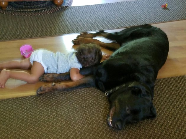 Resized_20160909_103414.jpeg