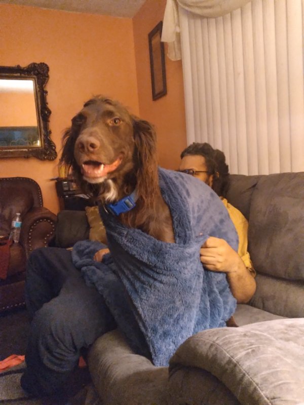 Resized_20220227_192450.jpeg
