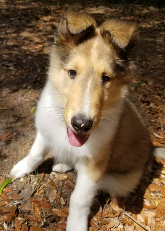 Riley Baby Pic small.jpg