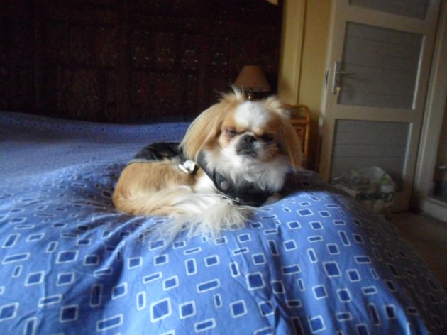 SAM_0791.JPG