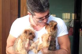 Simon Cowell.jpg