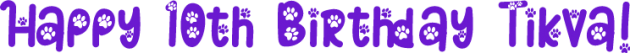 text-1747174662733.png
