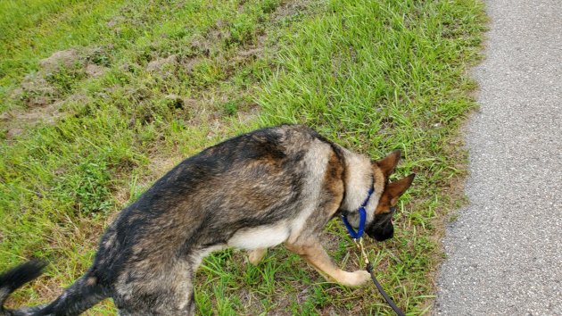 upload_2019-8-14_21-12-6.jpeg