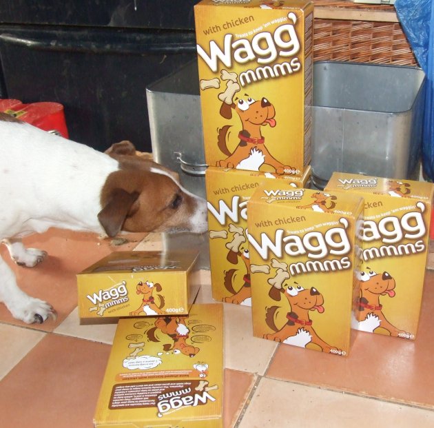 w8.JPG