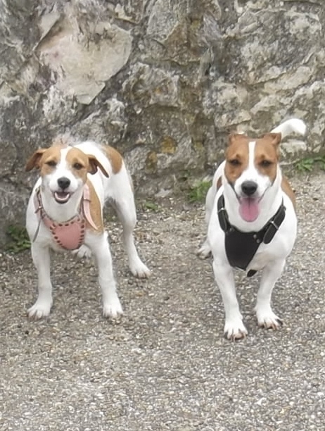 walkies.JPG