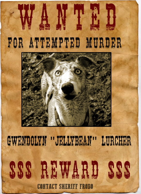 wAnted.png