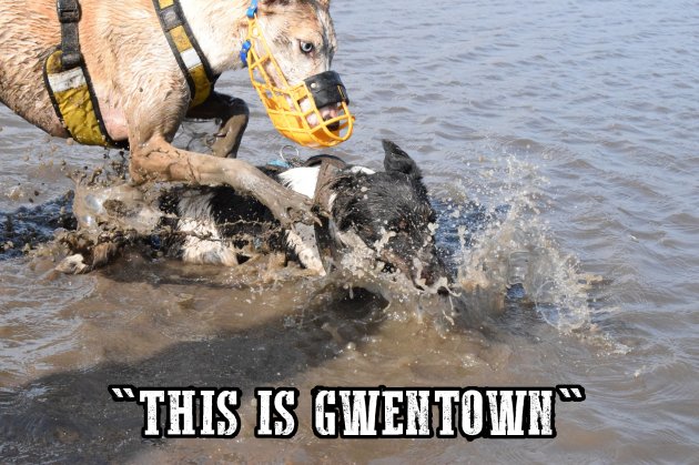 western5.jpg