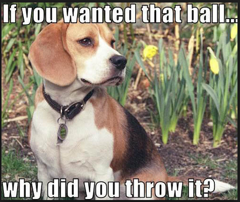 Why throw.PNG