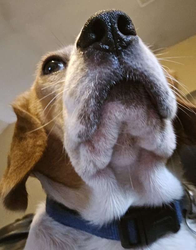 Winston7242025.jpg