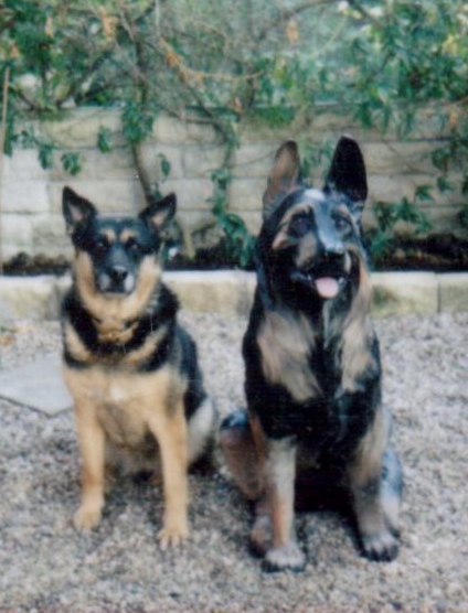 Zara & .jpg