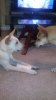 IMAG0167.jpg