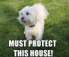 must_protect_this_house.jpg