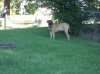 DSC00681.JPG