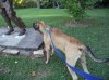 DSC00691.JPG