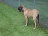 DSC00590.JPG