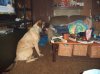 DSC00658.JPG