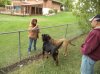 DSC00832.JPG