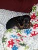 20140628_175301.jpg