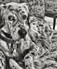 20141028_110901_1 - Copy.jpg