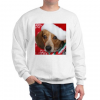 untitled3.png