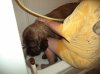 DSC00839.JPG