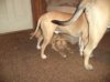 DSC00936.JPG
