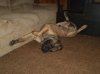 DSC00926.JPG