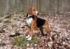 20150403_135939ab.jpg