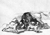 Bullfightdetail.jpg