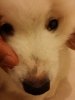 20150522_232103.jpg