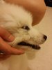 20150522_232113.jpg