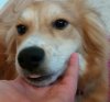 20160130_092628-1.jpg