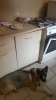 IMG-20160820-WA0002.jpg