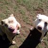 IMG_20160427_094710.jpg
