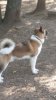 20161016_125958.jpg