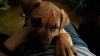 20161019_221445.jpg
