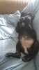 20170201_115050.jpg