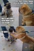 FB_IMG_1492086618445.jpg