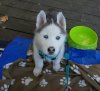 20170523_213215.jpg