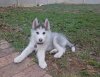20170523_213235.jpg